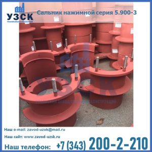 Сальники нажимные серия 5.900-3 в Ачинске